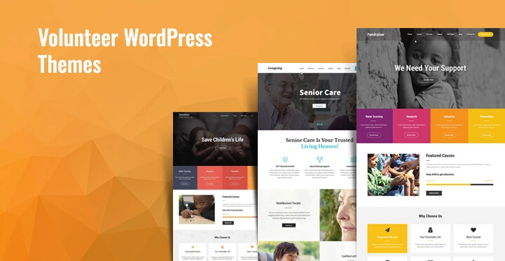 Temi WordPress per volontari