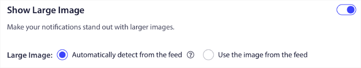 Pilih gambar besar untuk pemberitahuan push RSS