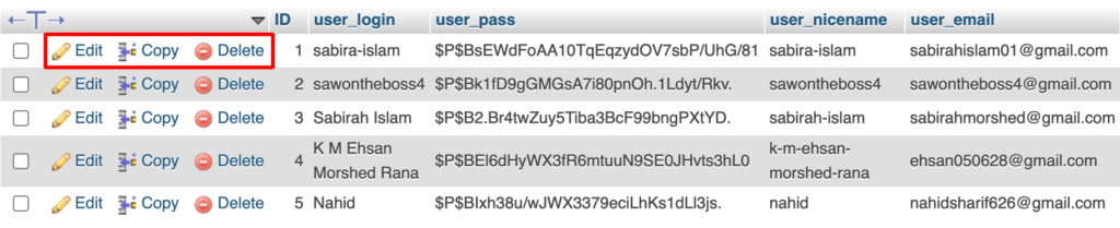 Eine Illustration zum Aktualisieren von Daten in der WordPress-Datenbank