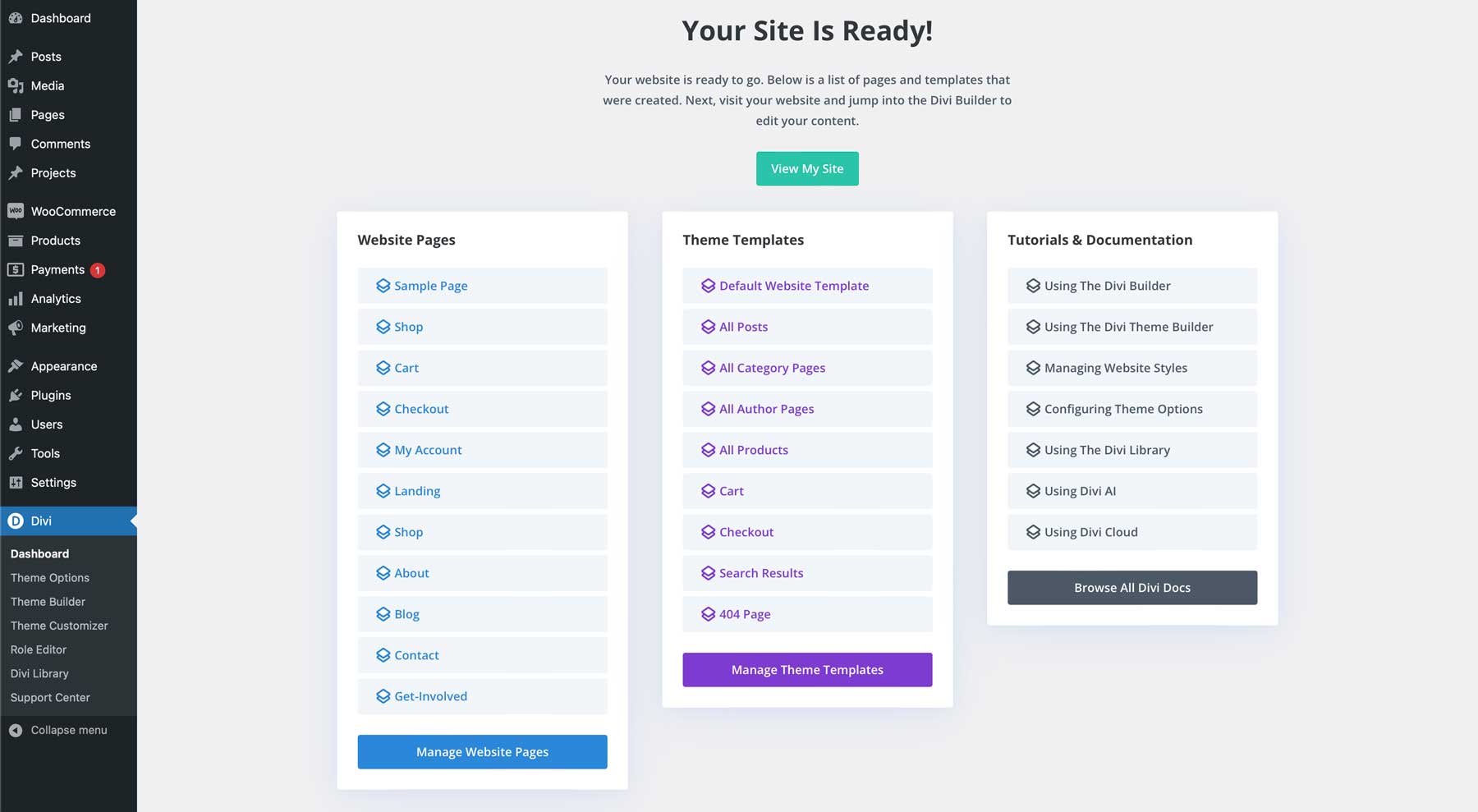 Situs awal nirlaba untuk Divi