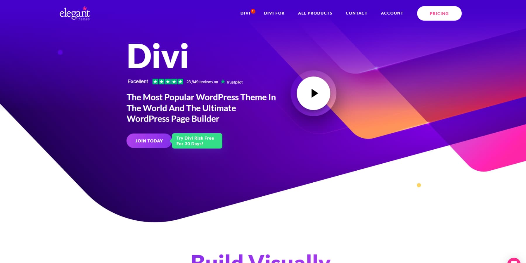 Divi 홈페이지 스크린샷