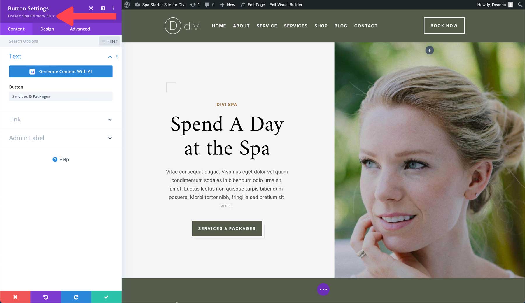 Divi 的 Spa 入门网站