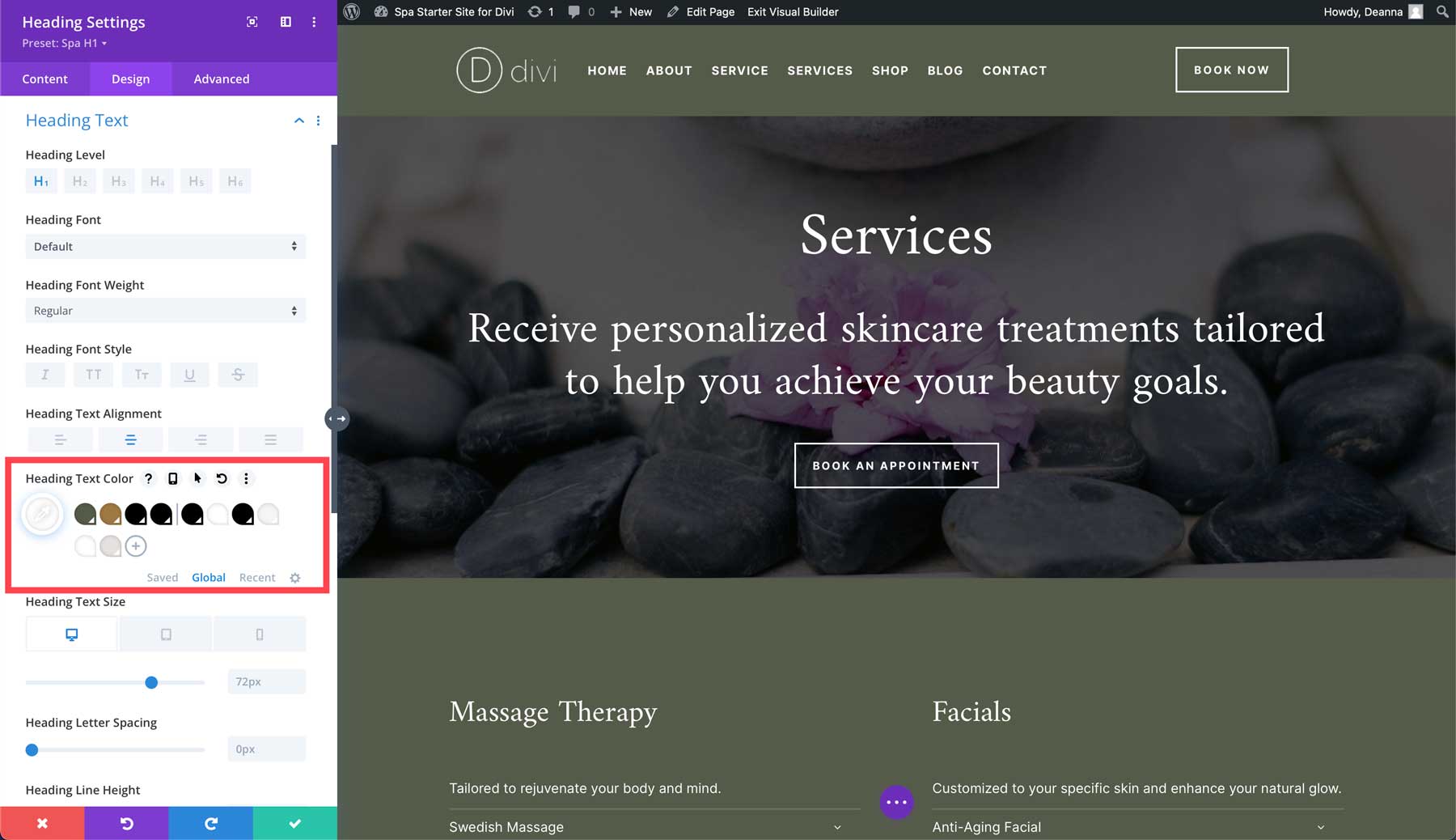 Divi 的 Spa 入門網站