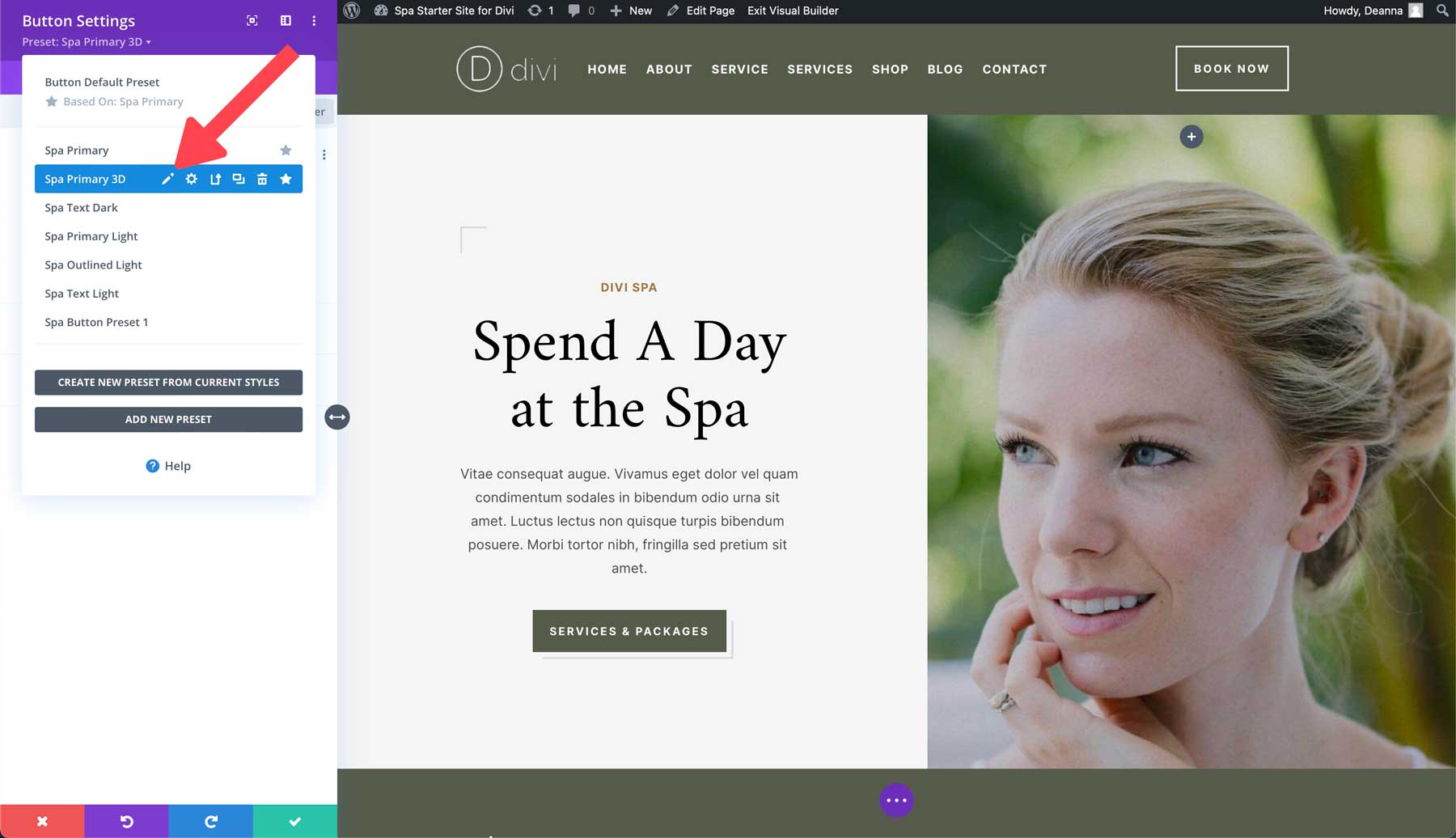 Divi 的 Spa 入门网站