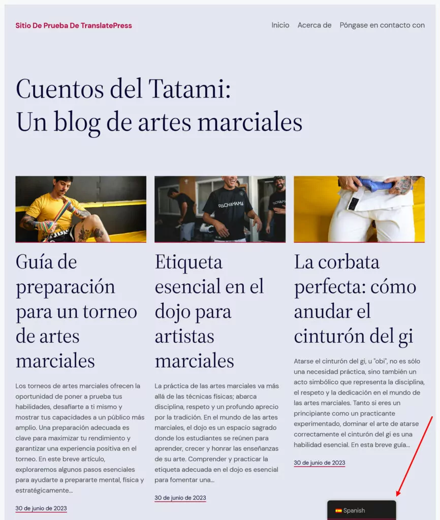 Artículos de blog traducidos al español para atractivo internacional.