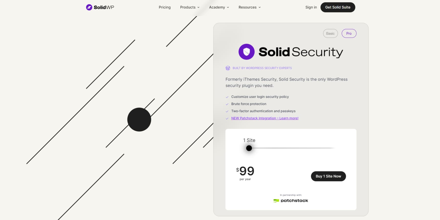 Solid Security 首頁的螢幕截圖