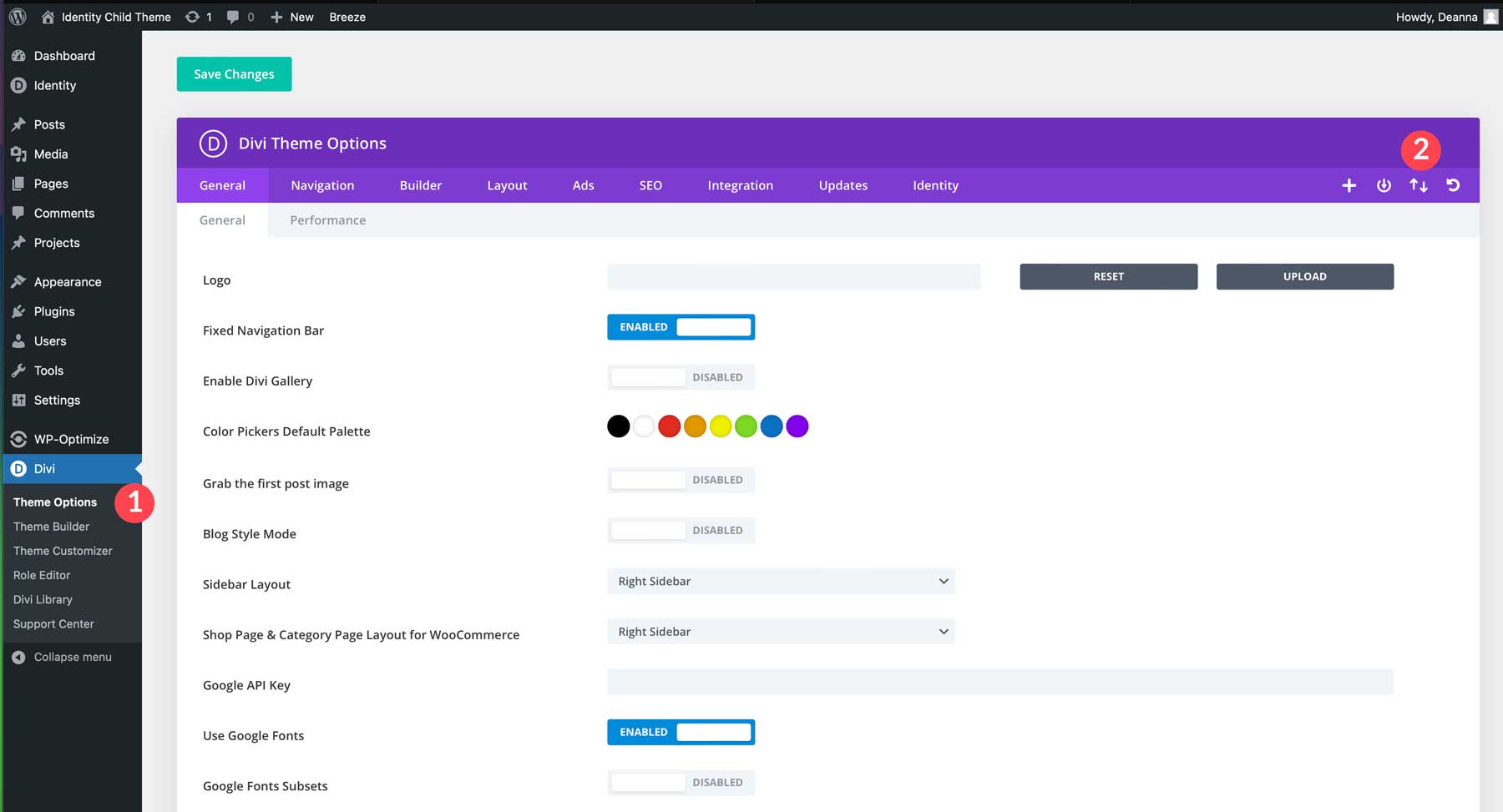 Divi 테마 옵션