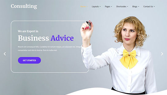 SKT Consulting Pro – WordPress-Theme für Finanzberater