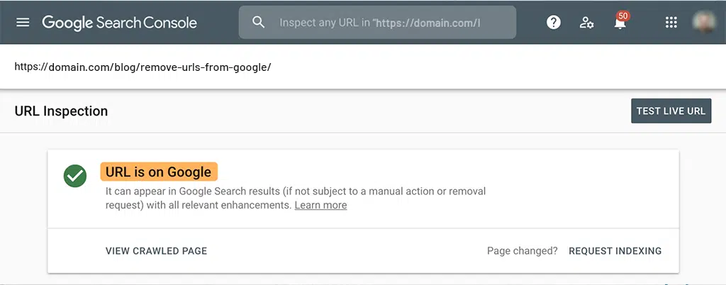 Page is successfully not indexed on Google