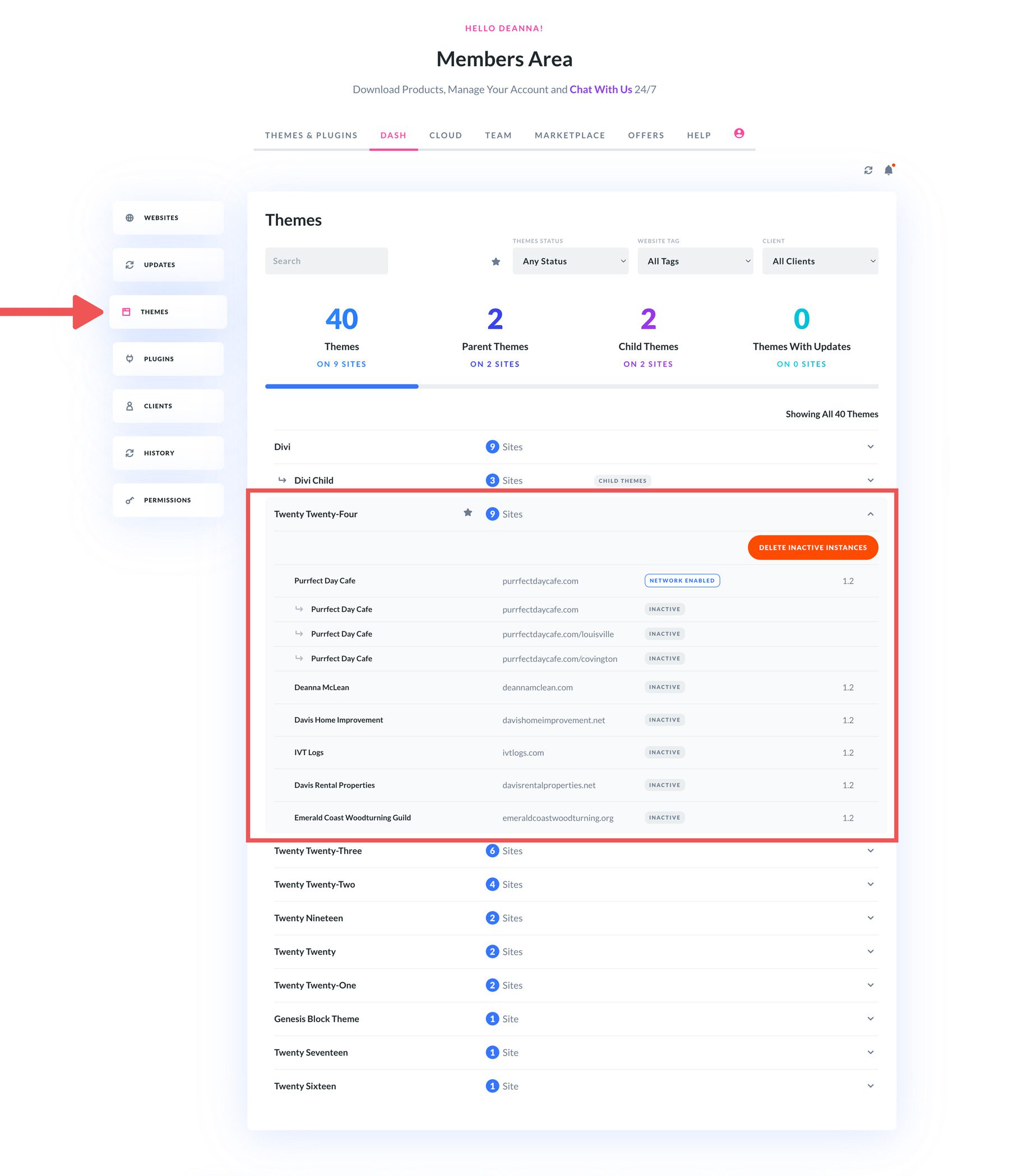 Manajemen tema Divi Dash