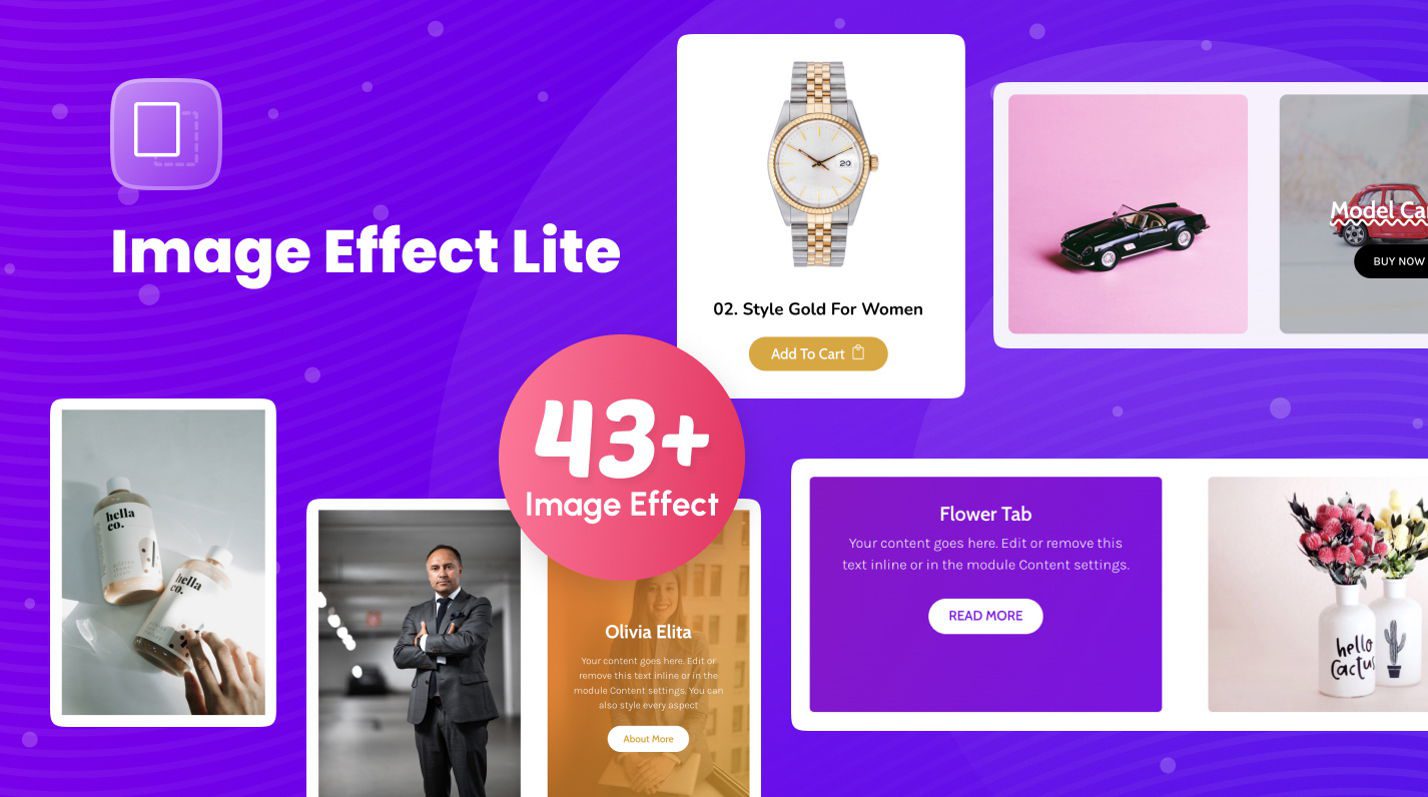 Immagine promozionale per Divi Image Effect Lite