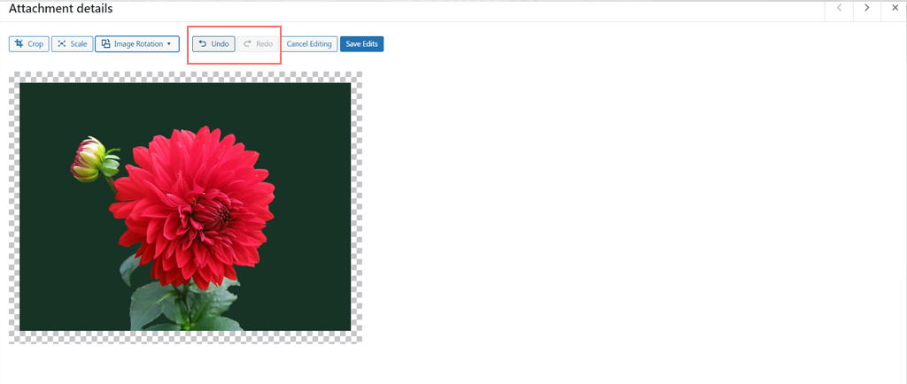 Undo mistakes while editing image in WordPress