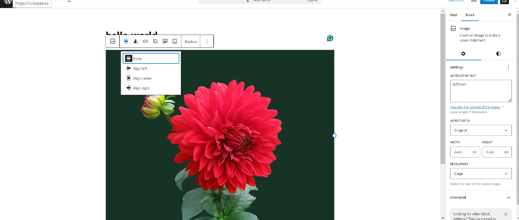 Aligning an image in WordPress