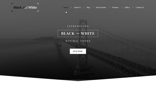 tema WordPress in bianco e nero