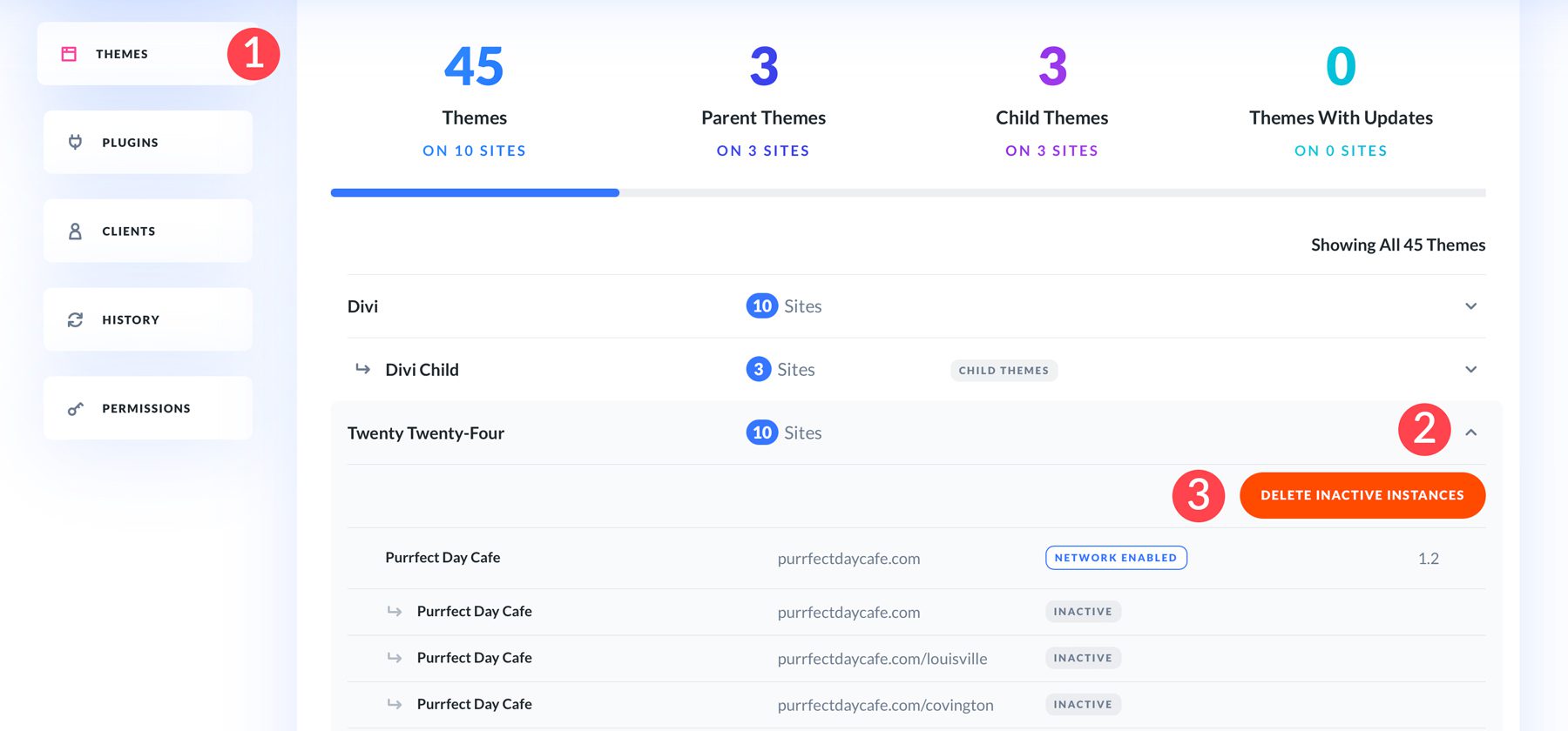 使用 Divi Dash 刪除不活動的主題