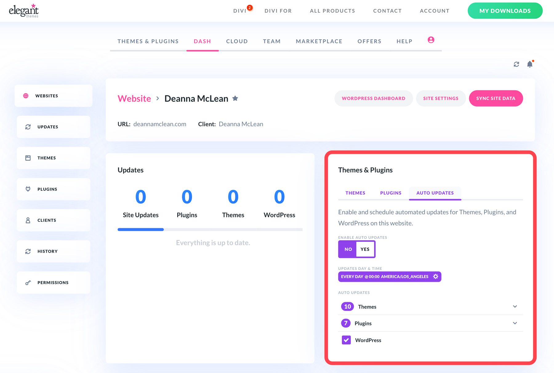 Divi Dash 자동 업데이트