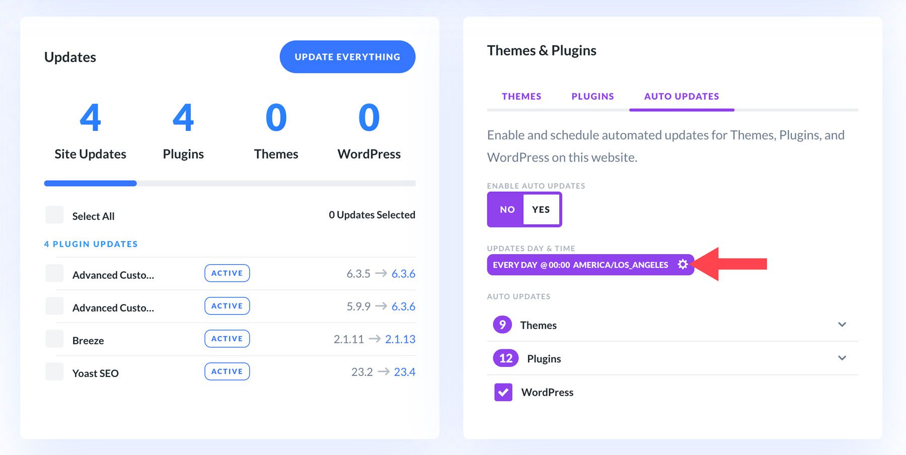 Automatische Update-Einstellungen für Divi Dash