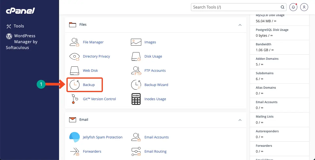 Go to the Backup option on your cPanel