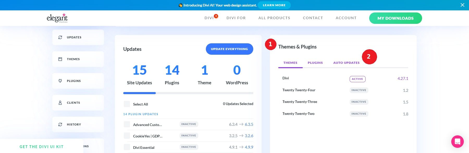 tema dan plugin divi dash