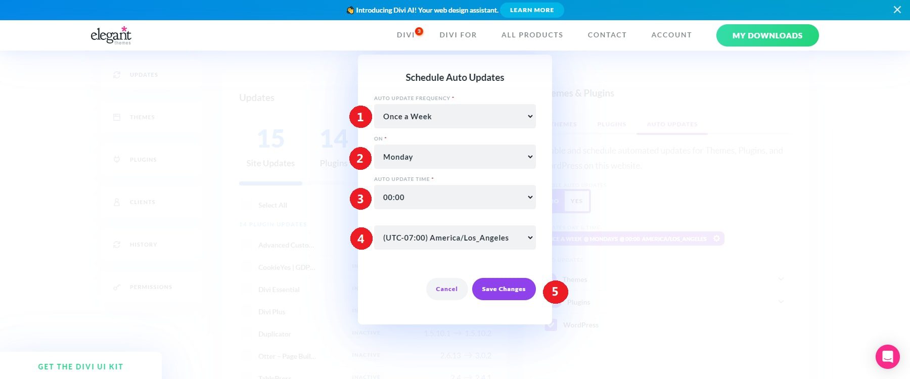 divi dash program actualizări automate