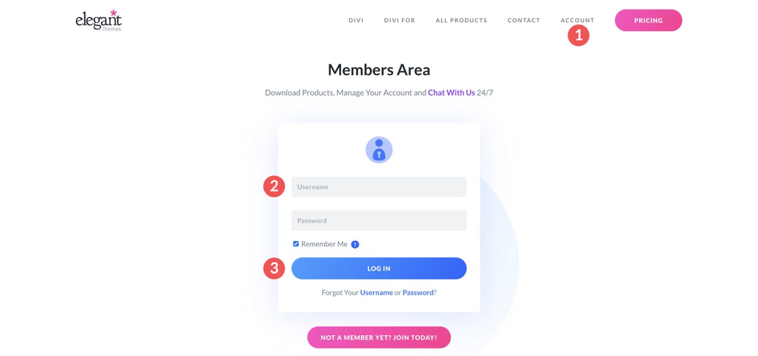 divi dash 회원 영역 로그인