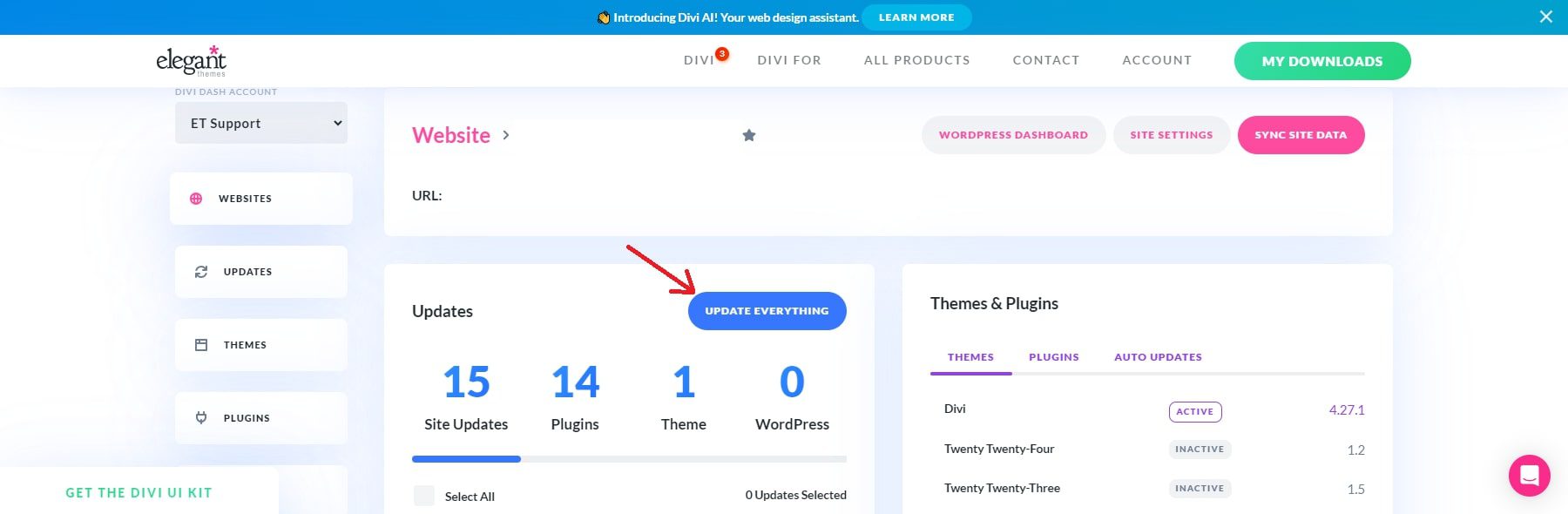 divi dash perbarui semuanya