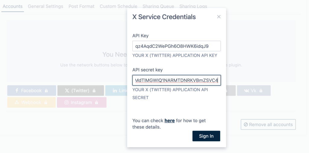 Uma captura de tela para inserir chave de API