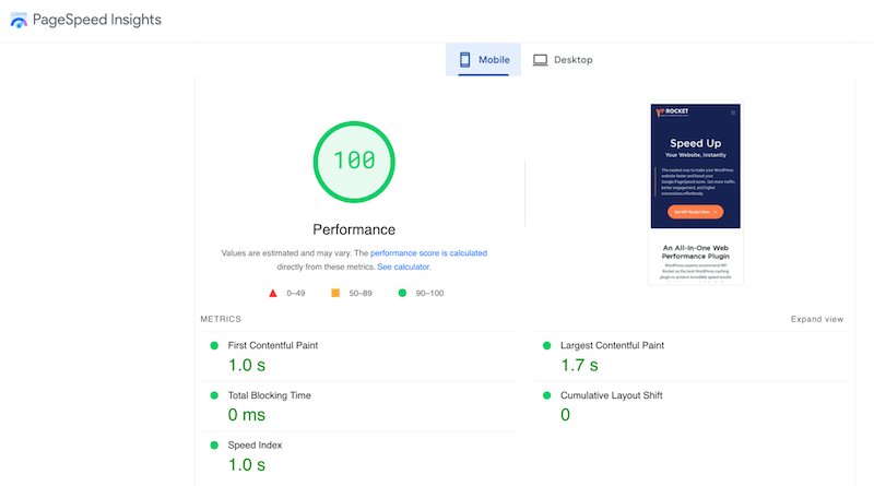 Performans puanı - Kaynak: PageSpeed ​​Insights 