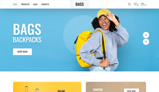 Thème WordPress pour magasin de sacs