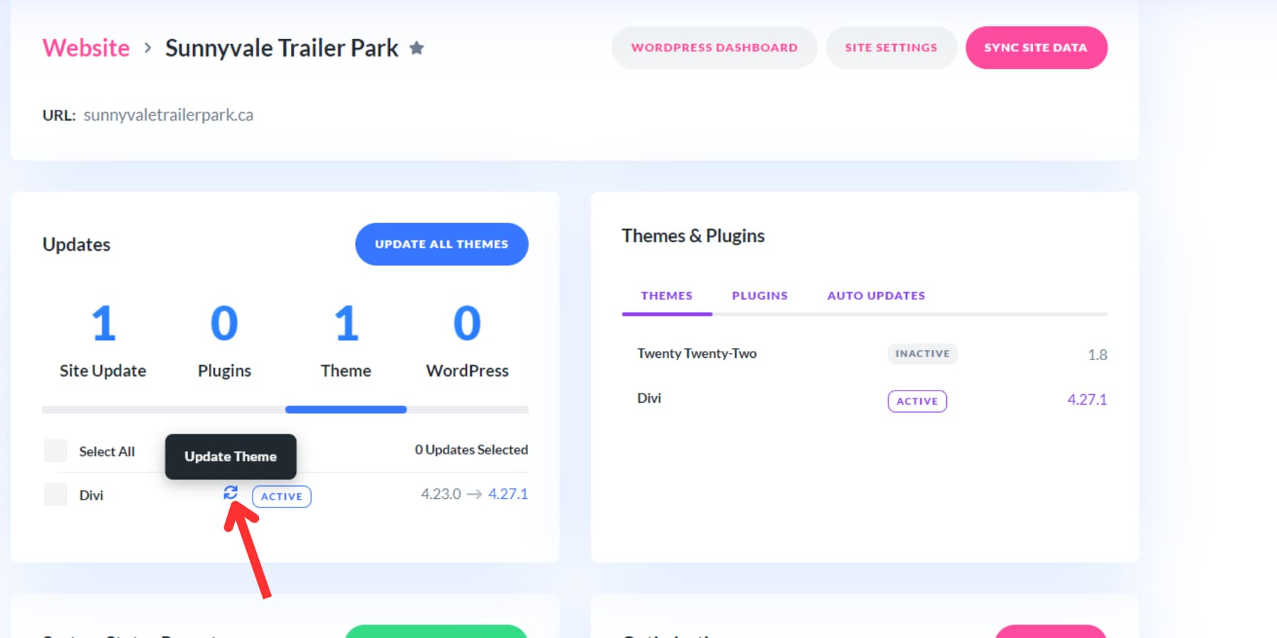 Divi Dash 上更新主题按钮的屏幕截图