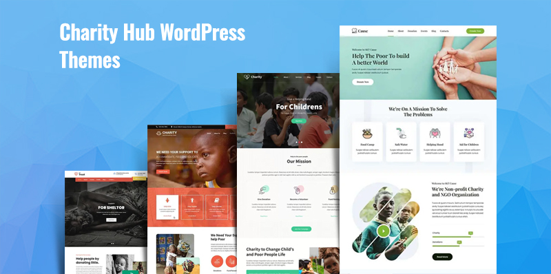 Temi WordPress per l'hub di beneficenza