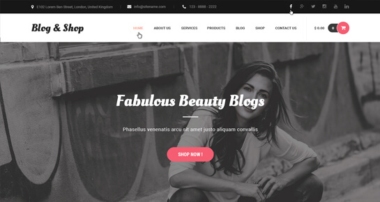 Temas de WordPress para tienda de blogs.