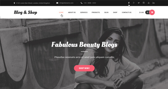 Blog dan Toko - Tema Blog Fashion WordPress