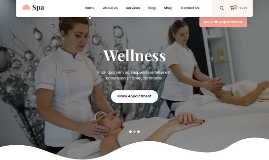 Tema Spa WordPress