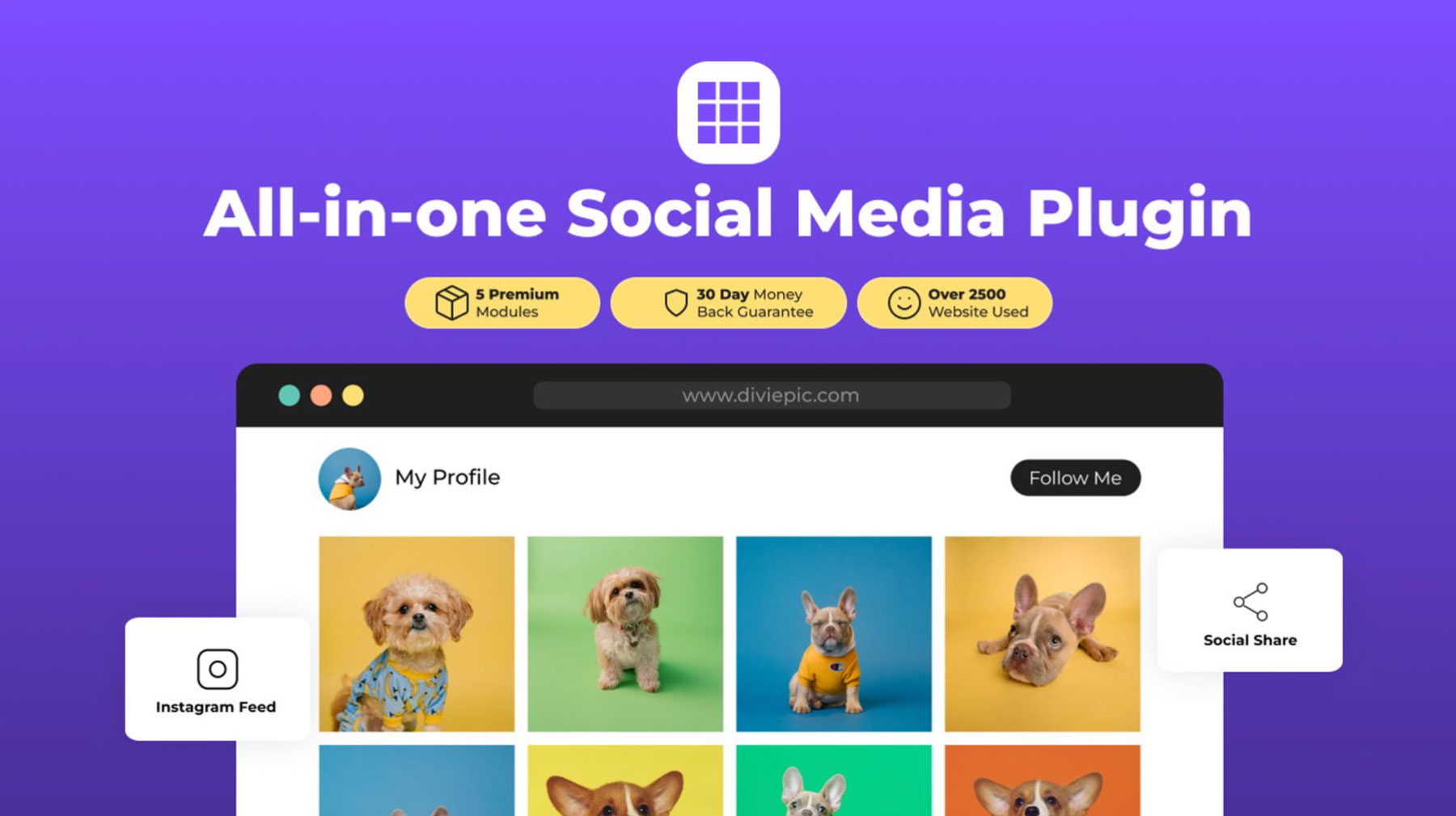 Divi Social Plus