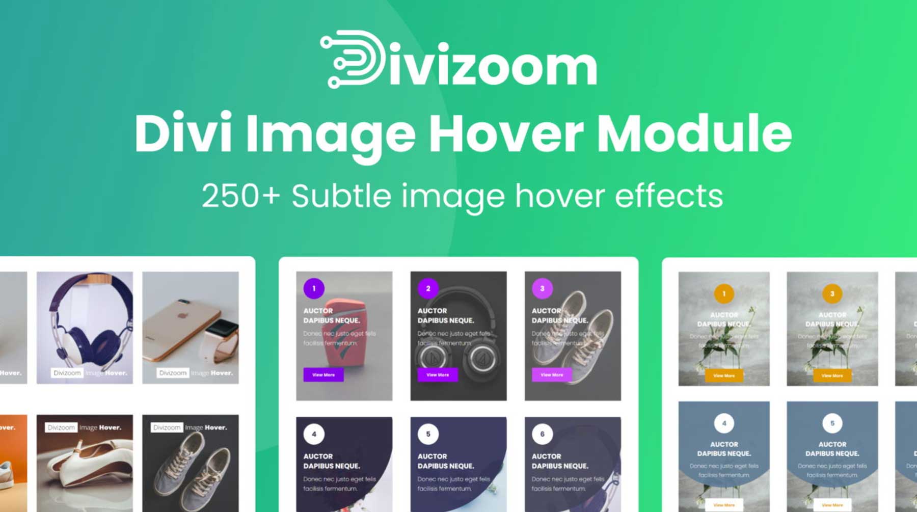 Divi Imagem Hover