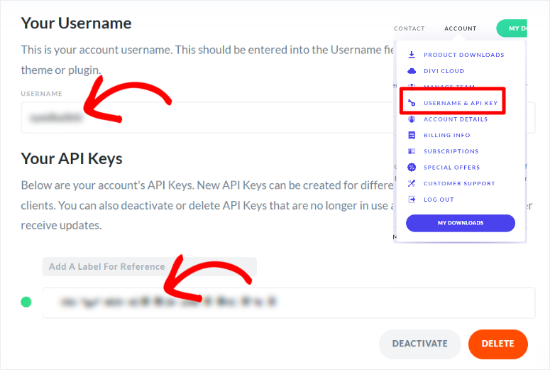 divi copy username api key