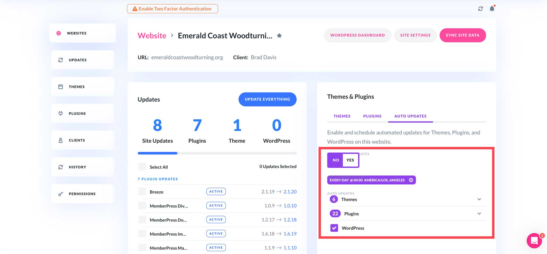 อัพเดตอัตโนมัติ Divi Dash