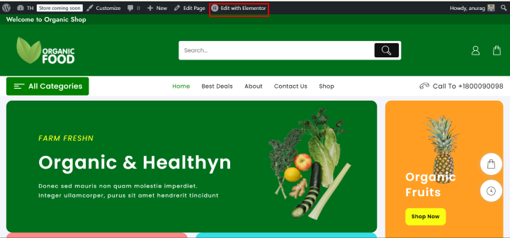 organic food edit with elementor 1