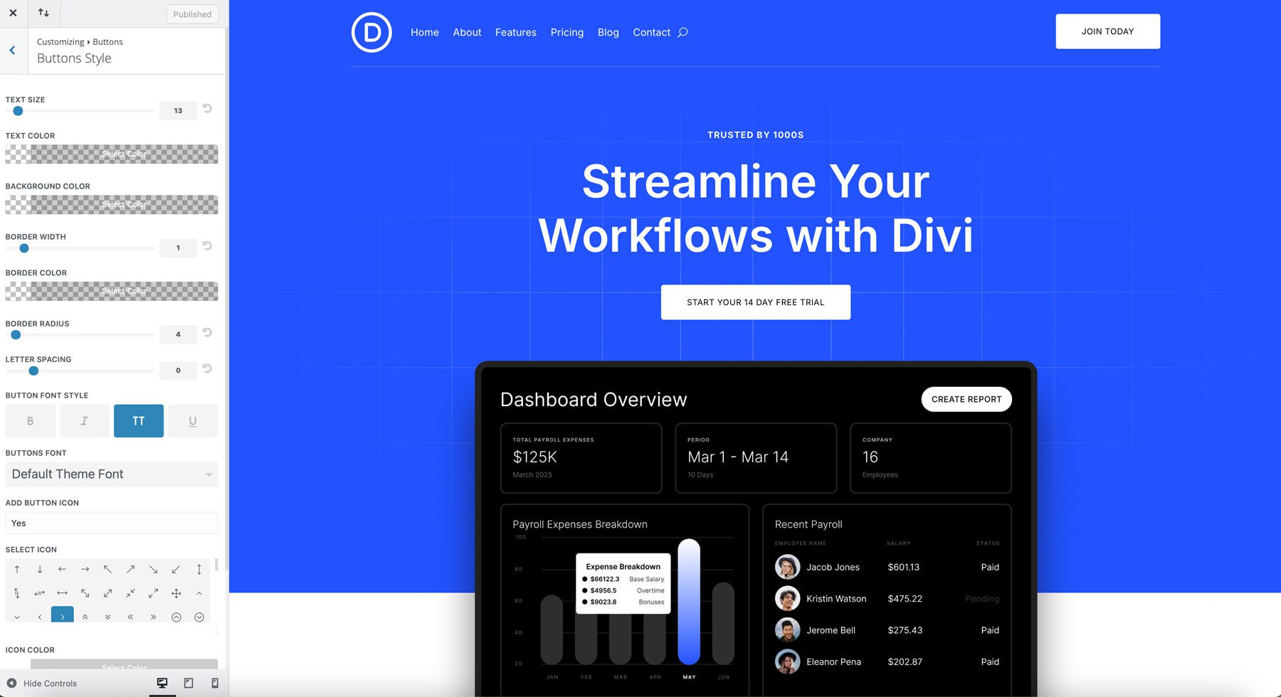 Saas Starter Site für Divi