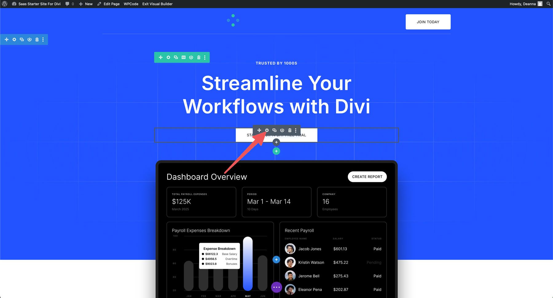 Saas Starter Site für Divi