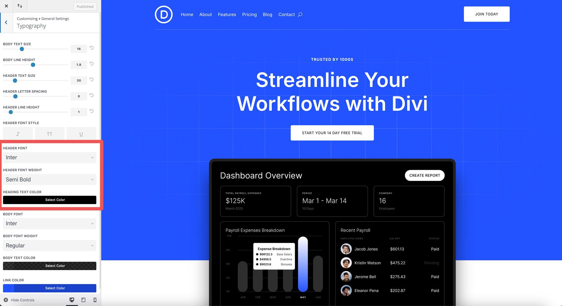 Saas Starter Site für Divi