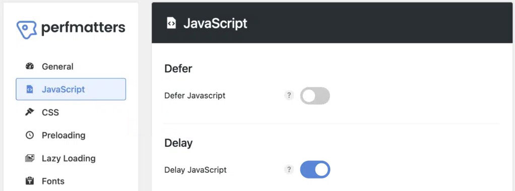 Perfmatters Delay JavaScript -Ausführungsoption