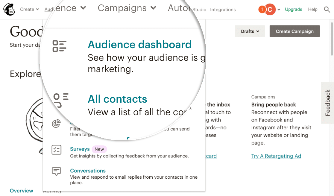 Painel de Audiência Mailchimp para tags personalizadas