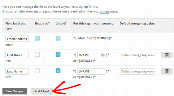 Creați câmpuri personalizate MailChimp - Ecranul Câmpuri listă MailChimp și Merge Tag-uri