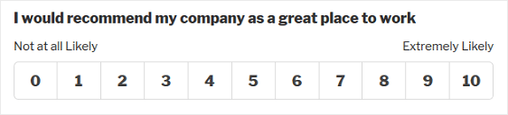 NPS-Score-Formularfeld