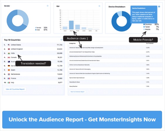 analiza site-ului de membru monsterinsights