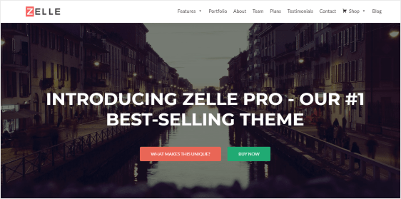 Zelle Pro satu halaman tema WordPress