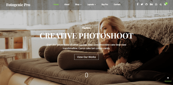 Thème WordPress pour la photographie Fotogenic Pro