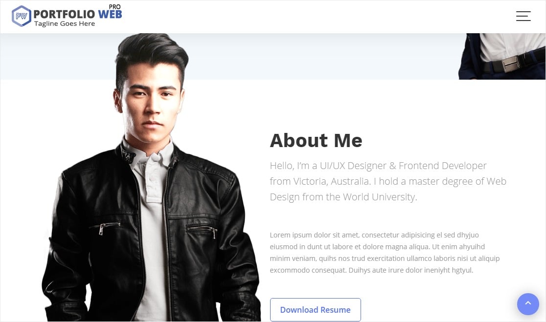 acme themes portfolio web pro